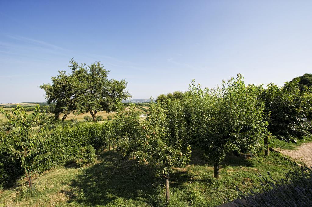 Agriturismo I Roseti Montepulciano Stazione Chambre photo