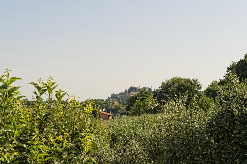 Agriturismo I Roseti Montepulciano Stazione Chambre photo