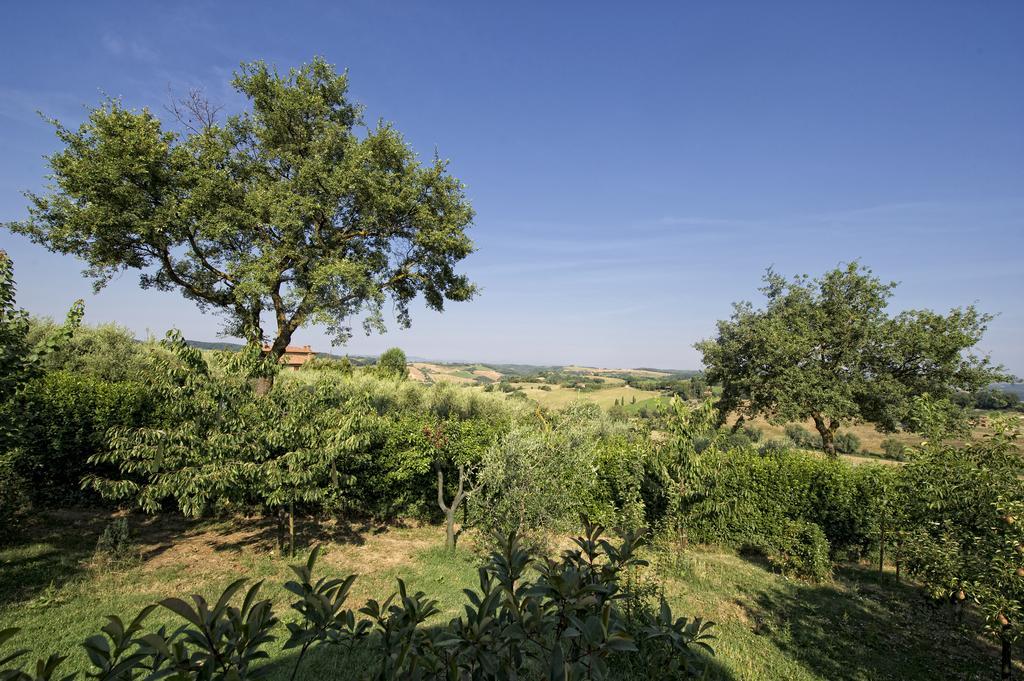 Agriturismo I Roseti Montepulciano Stazione Chambre photo